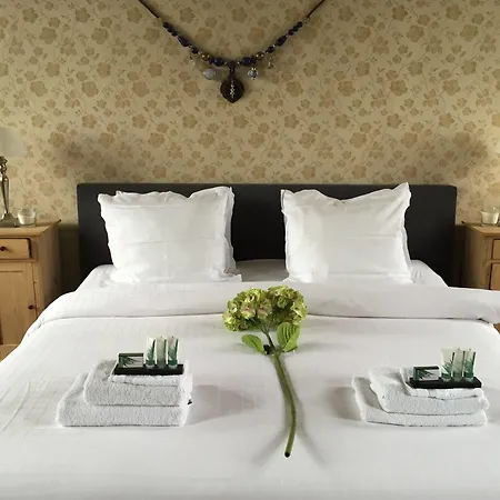 Overnight At Windmill Village Zaanse Schans - Amsterdam Hotel Zaandam