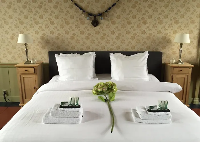 Overnight At Windmill Village Zaanse Schans - Amsterdam Hotel Zaandam